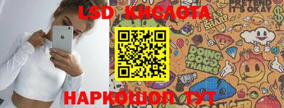 крисы Кунгур