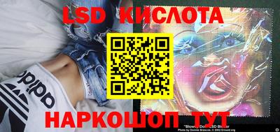 гашик Кулебаки