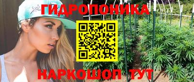 гашик Кулебаки