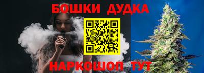крисы Кунгур