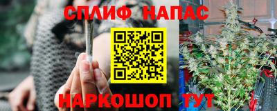крисы Кунгур