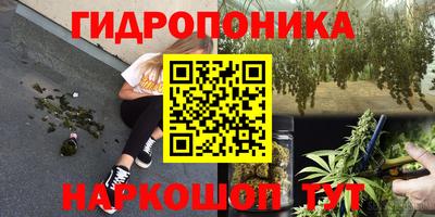 гашик Кулебаки