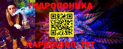 гашик Кулебаки