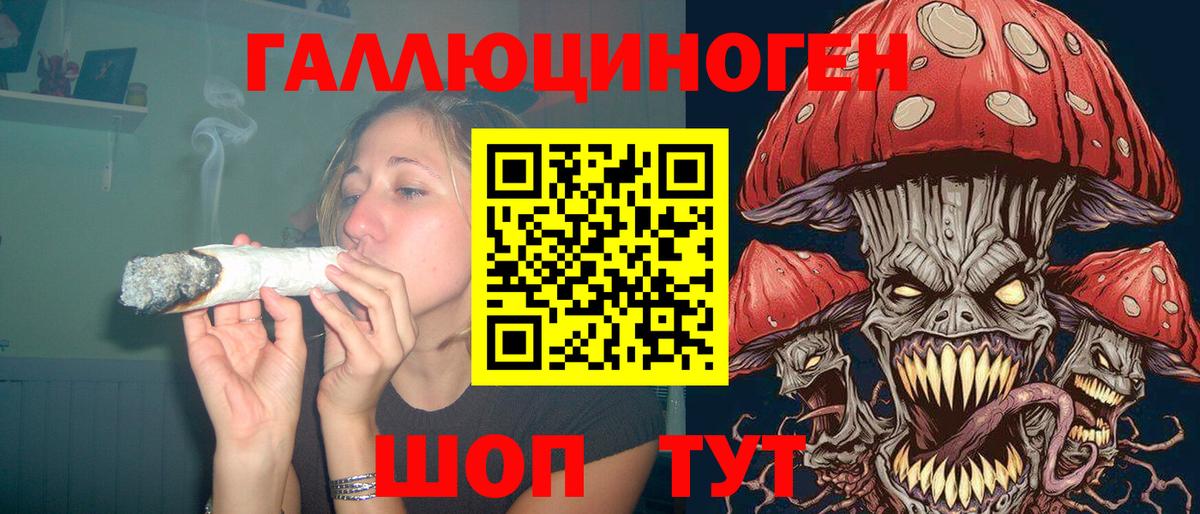 Знаменск  Псилоцибиновые грибы мухоморы  Галлюциногенные грибы Psilocybine cubensis  Вход с VPN 