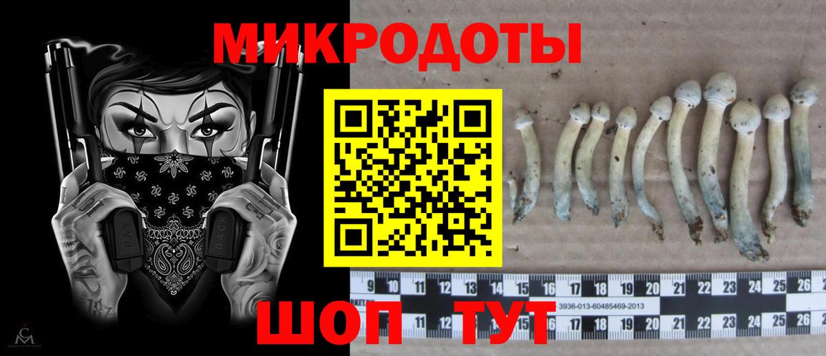 Псилоцибиновые грибы MAGIC MUSHROOMS Знаменск